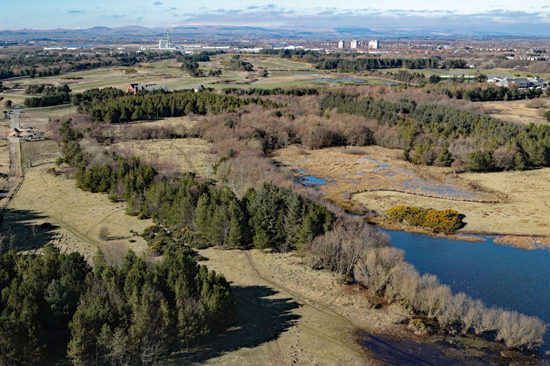 Gailes Marsh - Scottish Wildlife Trust, Irvine, North Ayrshire