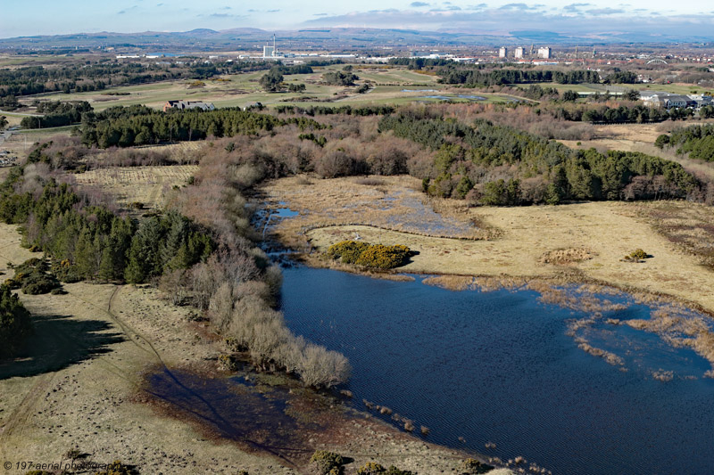 Gailes Marsh - Scottish Wildlife Trust, Irvine, North Ayrshire