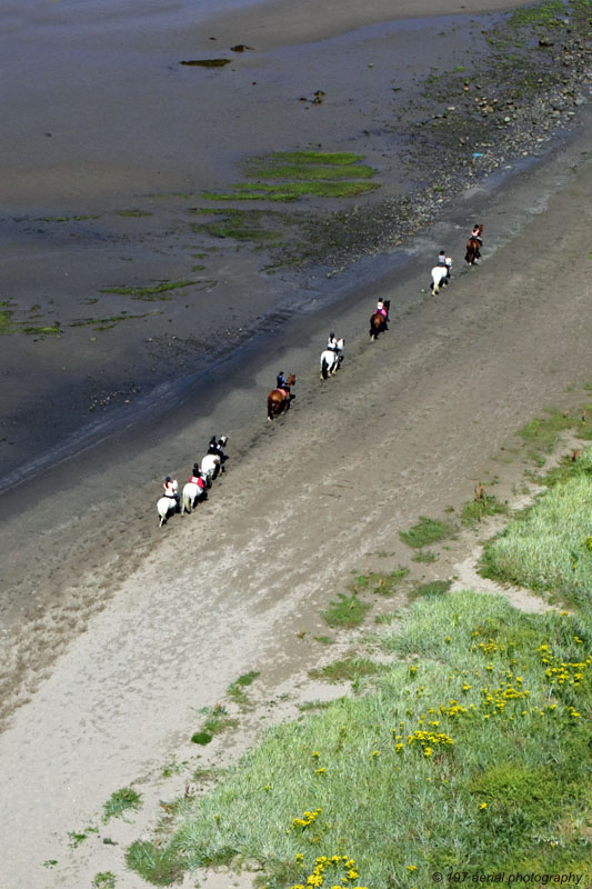 Horses, Maidens, South Ayrshire